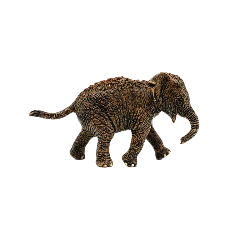 Schleich Asiatisches Elefantenbaby 14755