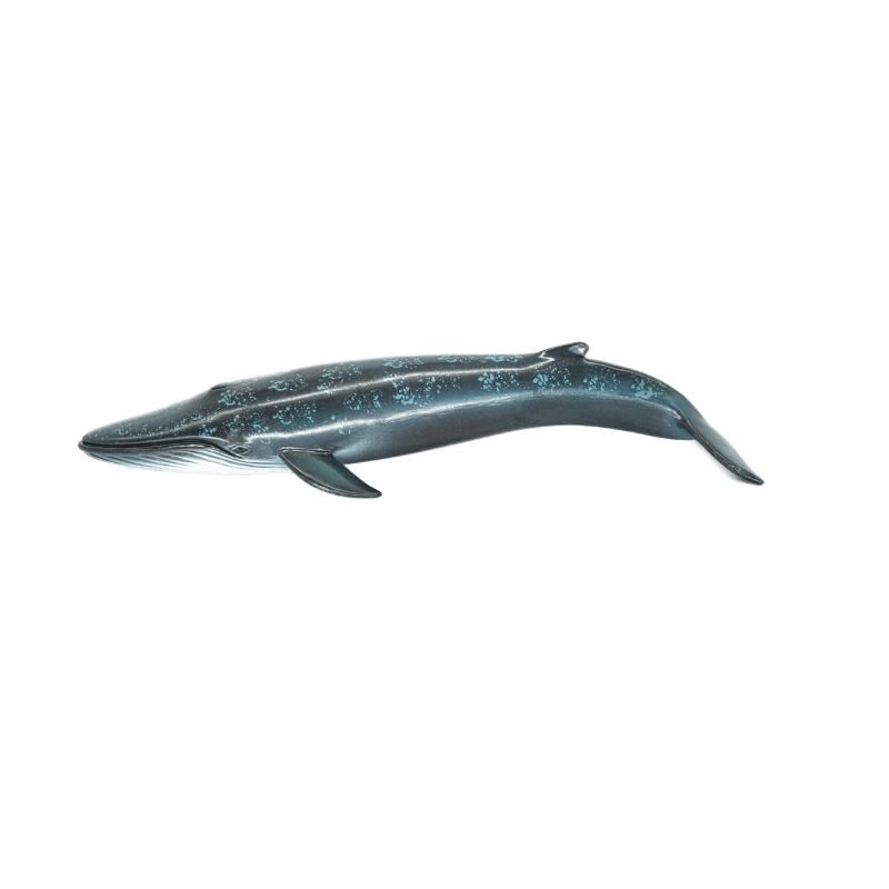 Schleich Blauwal 14552