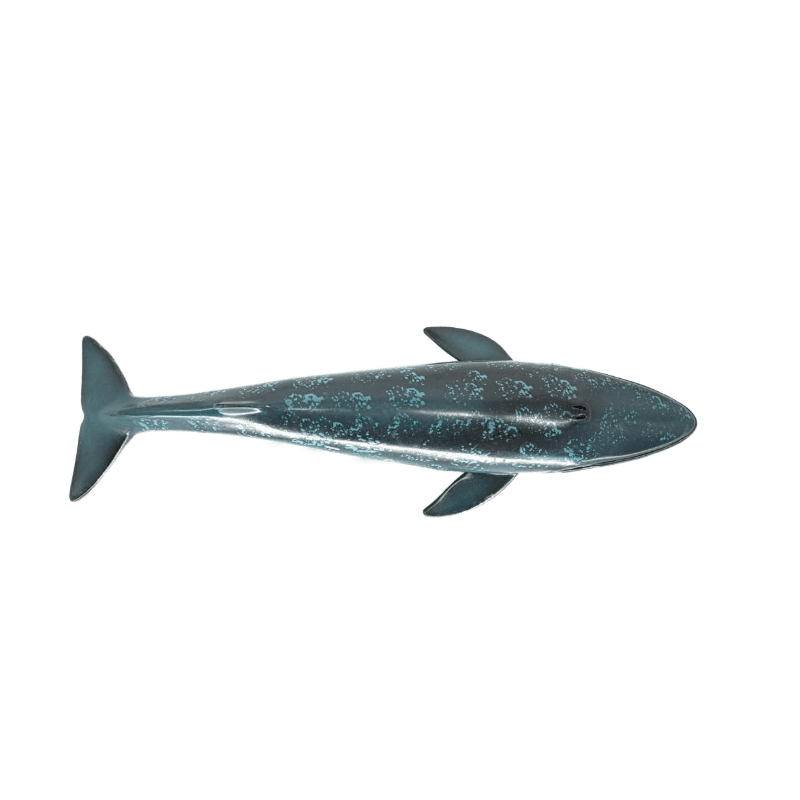 Schleich Blauwal 14552