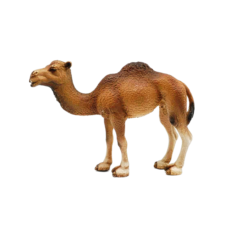 Schleich  Dromedar Stute 14355
