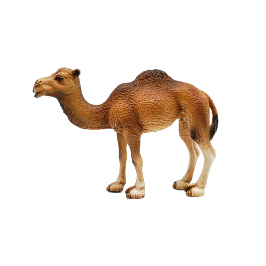 Schleich  Dromedar Stute 14355