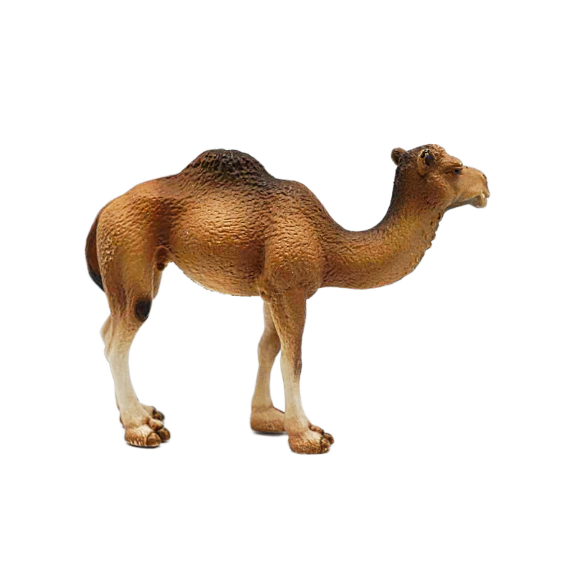 Schleich  Dromedar Stute 14355