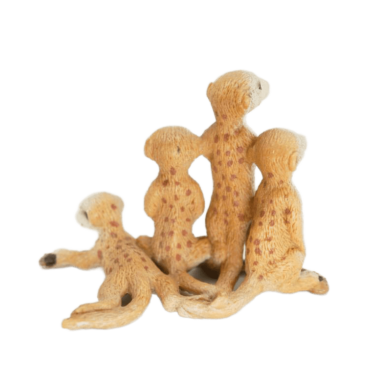 Schleich Erdmaennchen Jungen 14388