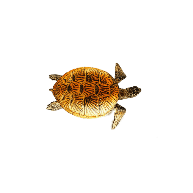 Schleich Meeresschildkröte 14695