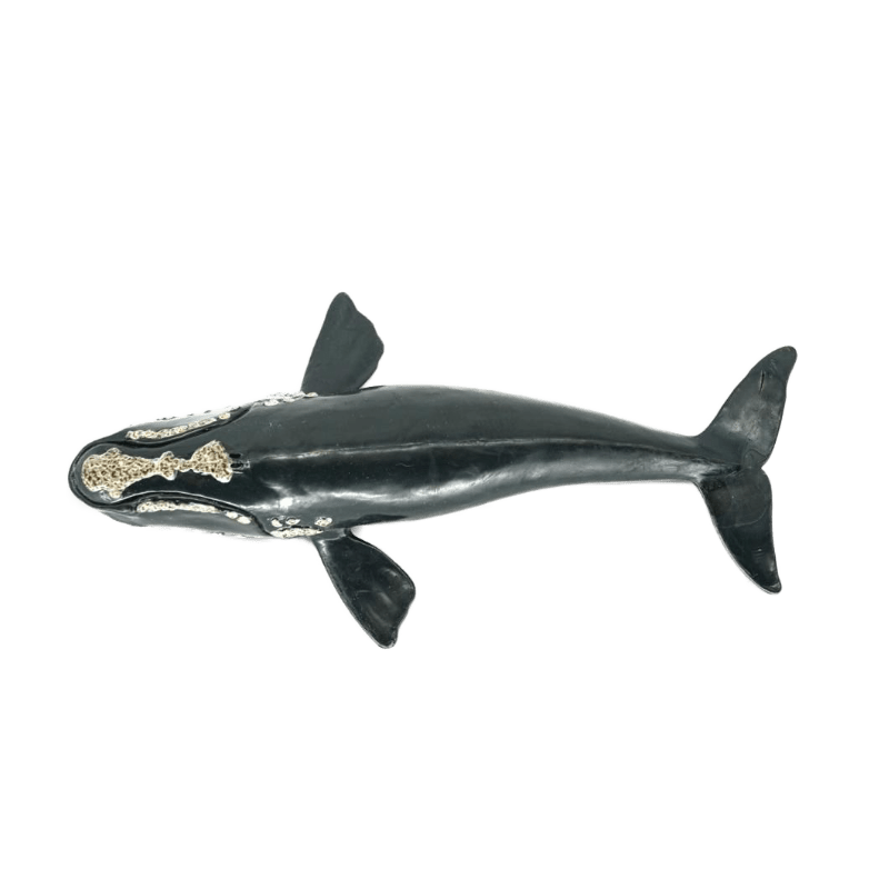 Schleich Nordkaper Wal 14558