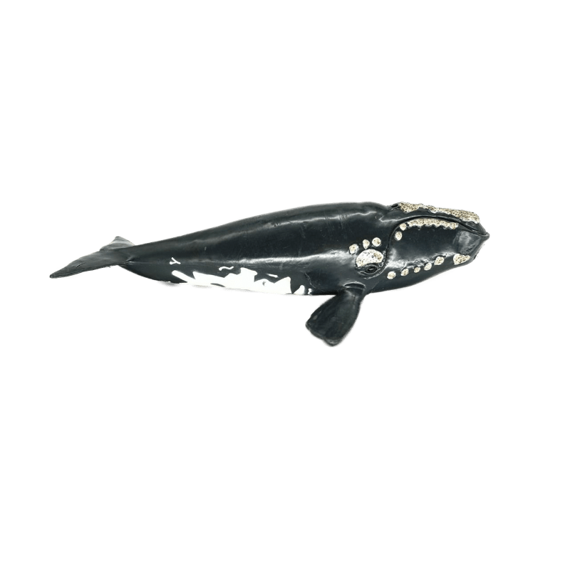 Schleich Nordkaper Wal 14558