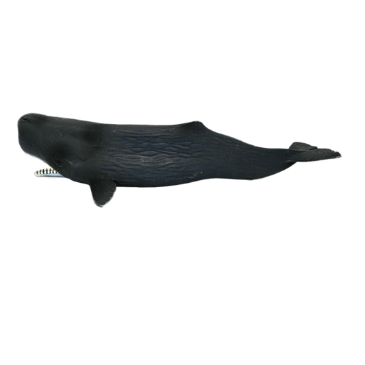 Schleich Pottwal 14764