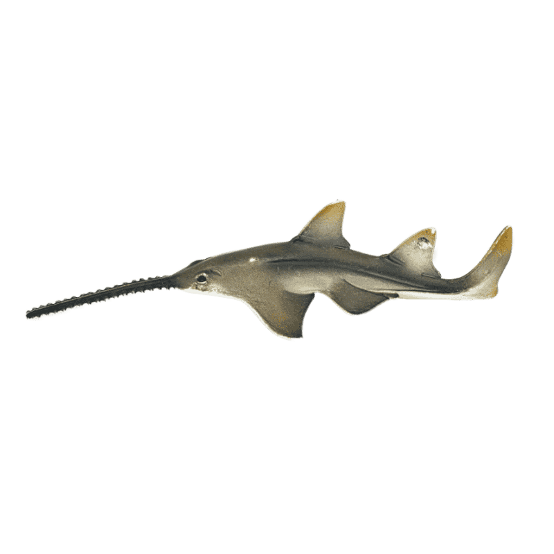 Schleich Saegefisch 14724