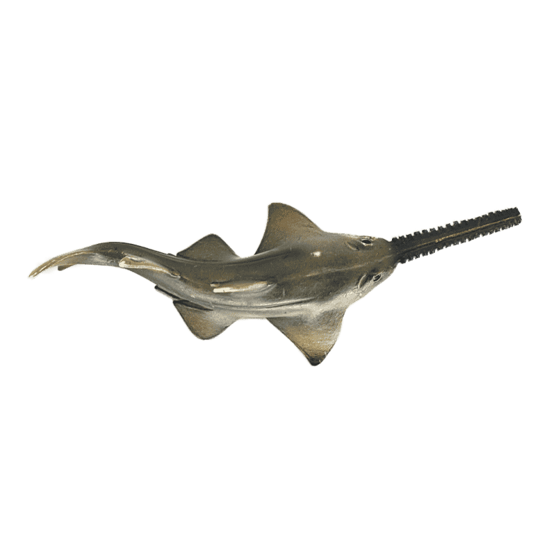 Schleich Saegefisch 14724