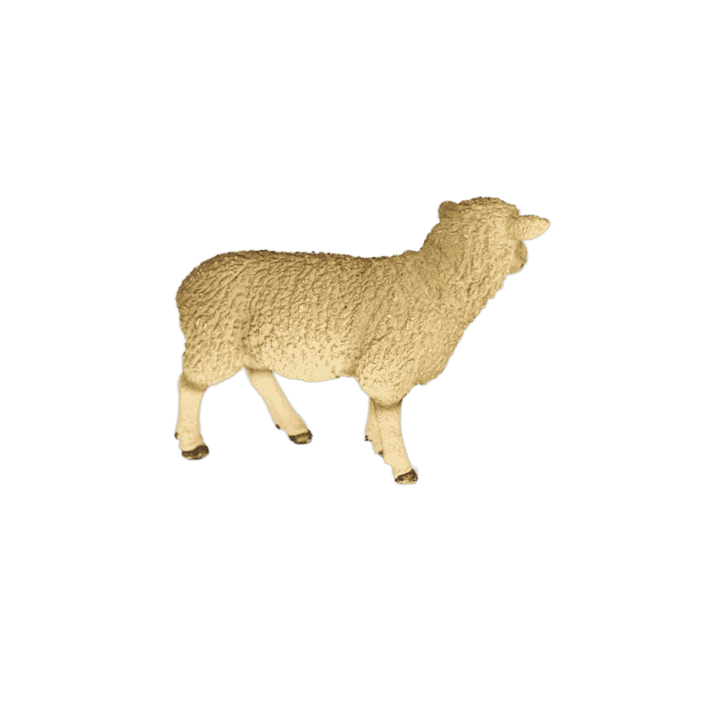 Schleich Schaf 13882