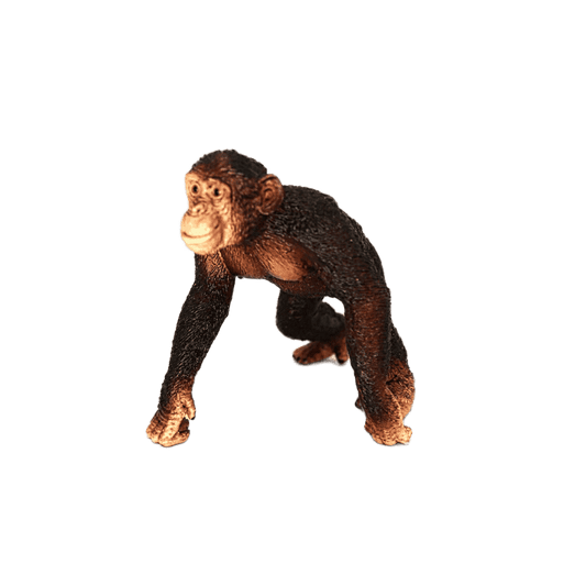 Schleich Schimpanse Maennchen 14817