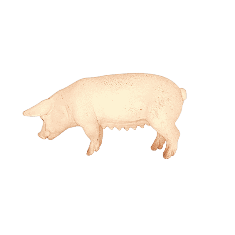 Schleich Schwein stehend 13288