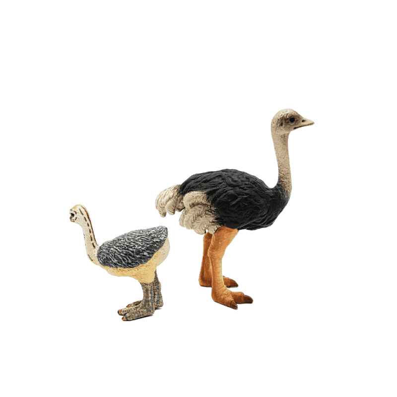 Schleich Strauss und Straußenjunges 14325 + 14398