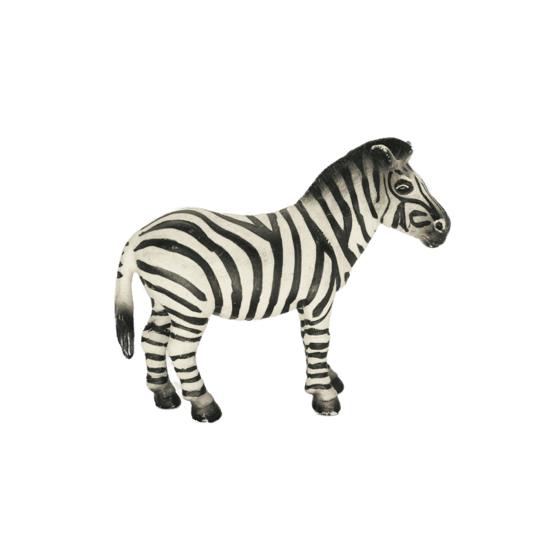 Schleich Zebra 14148