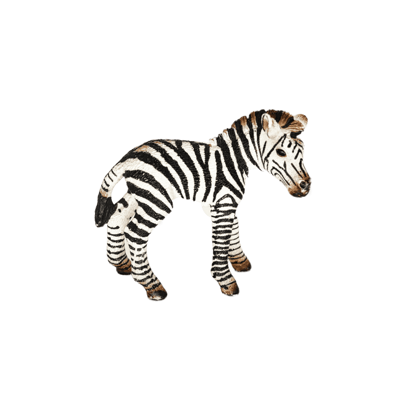 Schleich Zebra Fohlen 14393