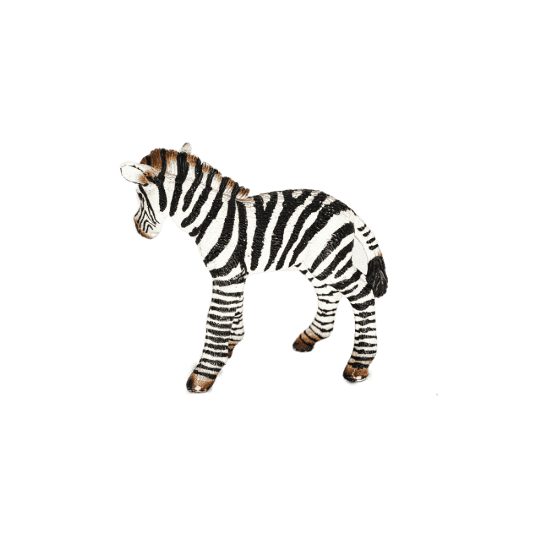 Schleich Zebra Fohlen 14393