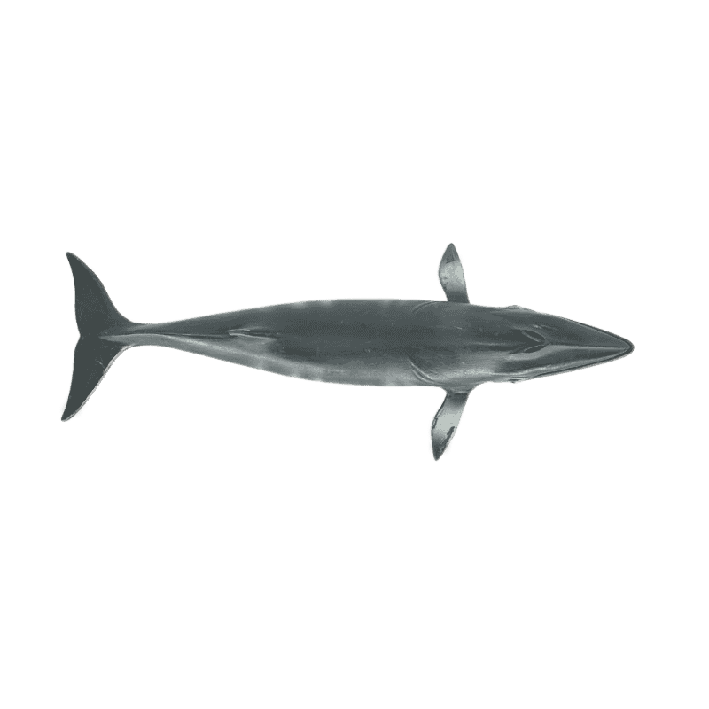 Schleich Zwergwal 16087