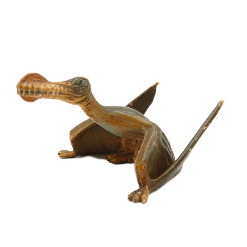 Schleich Anhanguera 14511