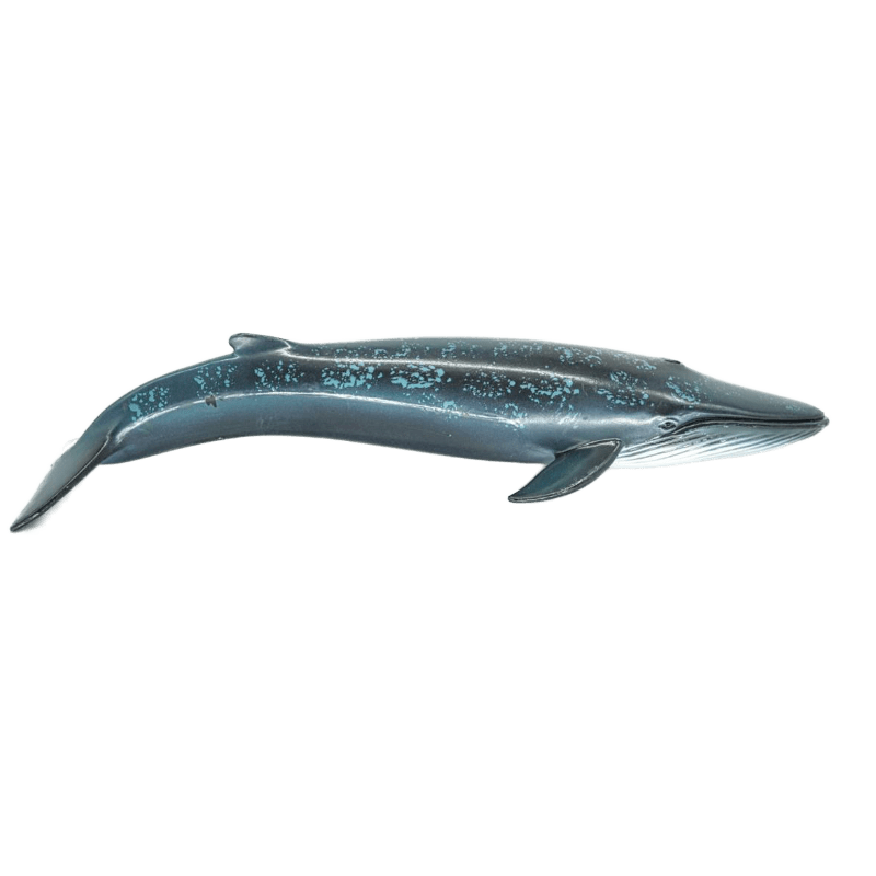 Schleich Blauwal 14552