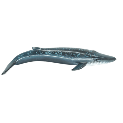 Schleich Blauwal 14552