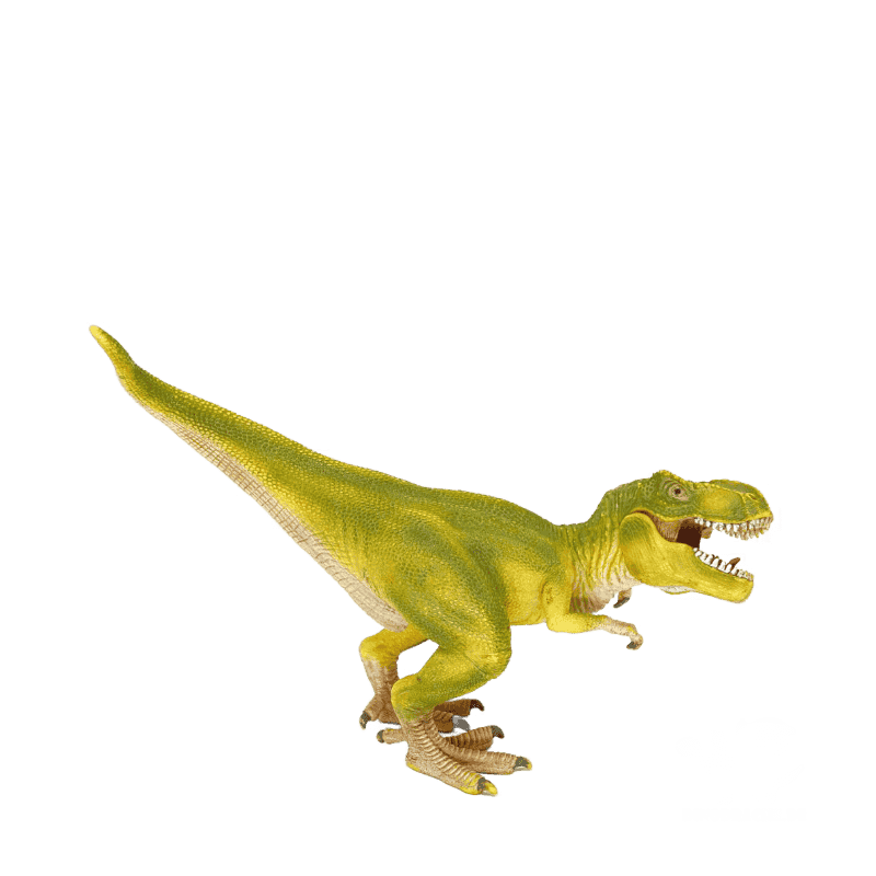 Schleich Dino Bundle (14528,14504,14530,14541)