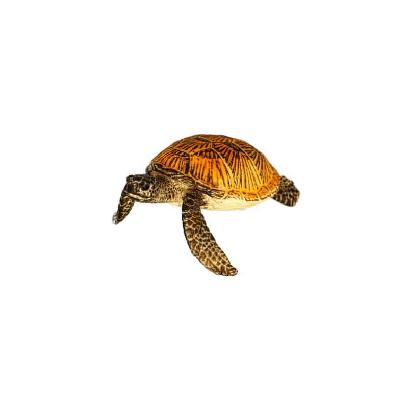Schleich Meeresschildkröte 14695