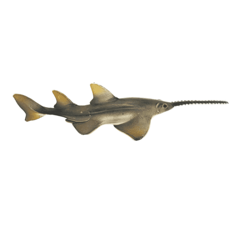 Schleich Saegefisch 14724