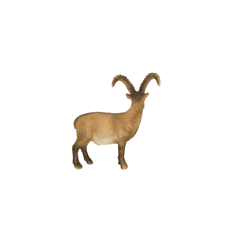 Schleich Steinbock 14366
