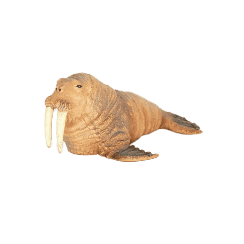 Schleich Walross 16080