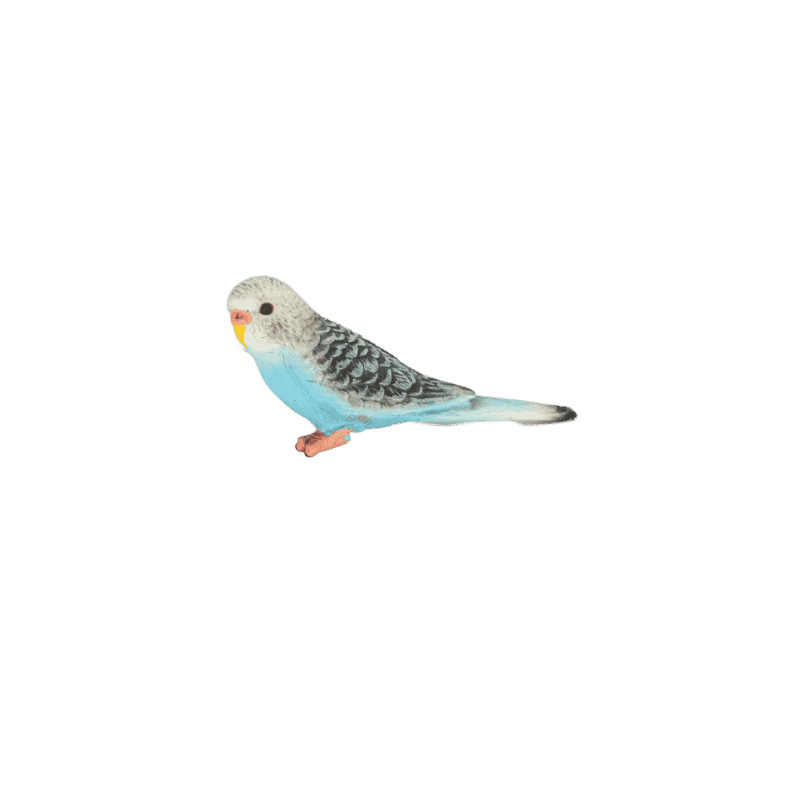 Schleich Wellensittich blau 14409