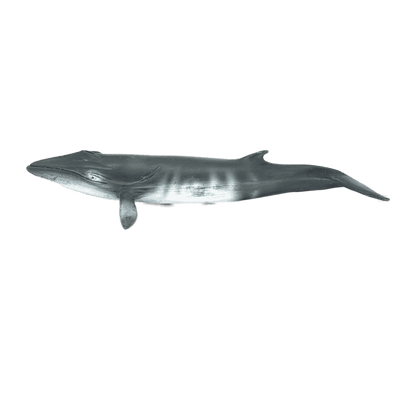 Schleich Zwergwal 16087