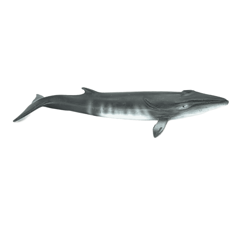 Schleich Zwergwal 16087