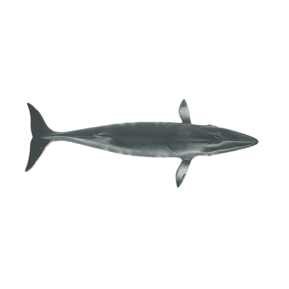 Schleich Zwergwal 16087